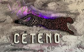 Hotel Ceteno